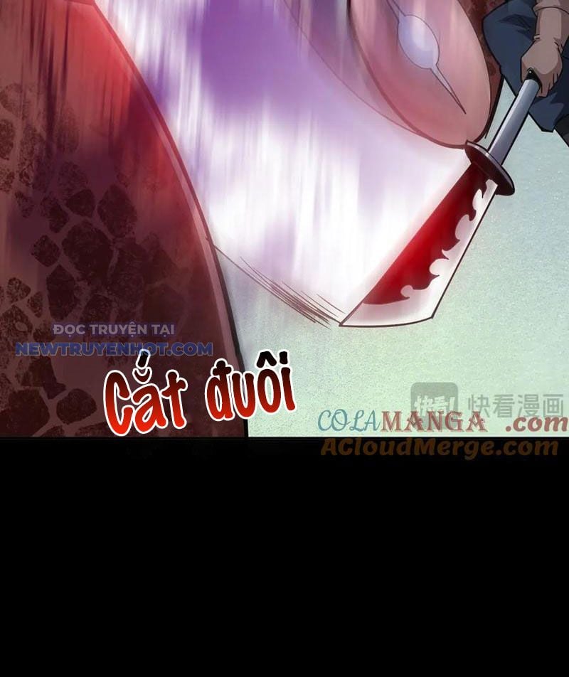 Chapter 17