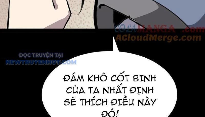 Chapter 23