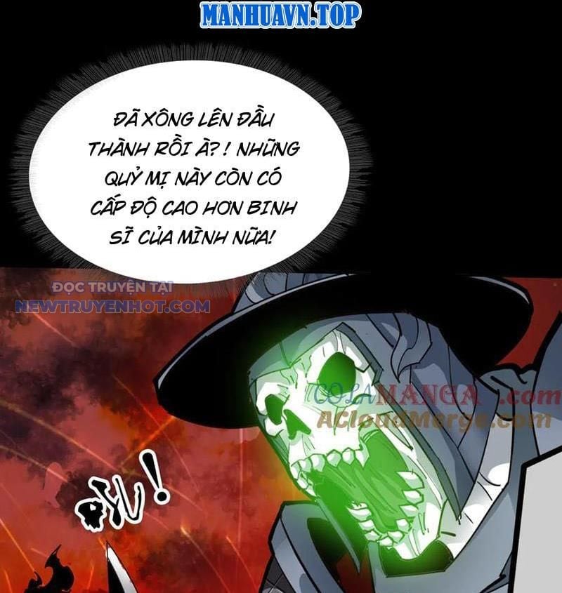 Chapter 23