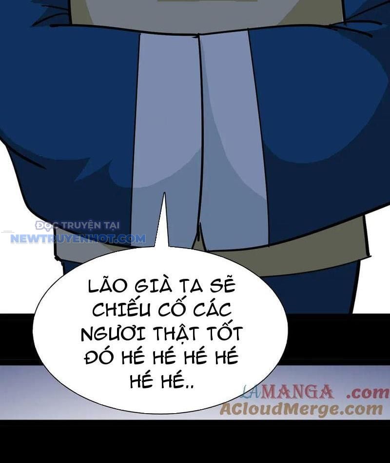 Chapter 23