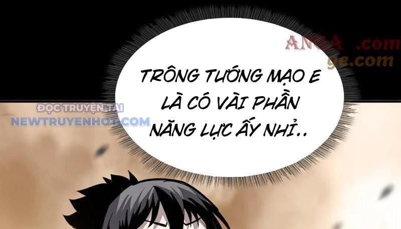 Chapter 23