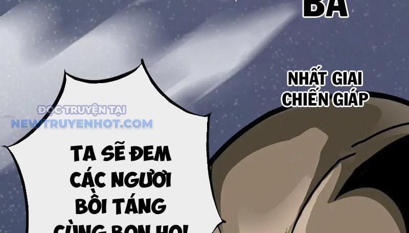 Chapter 23