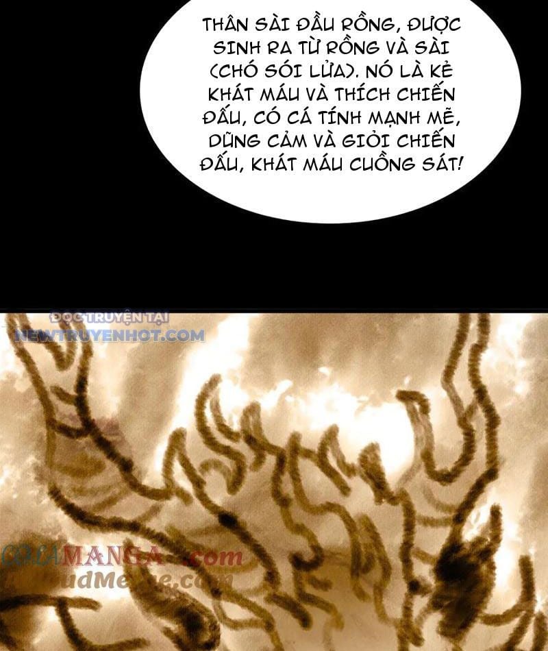 Chapter 26