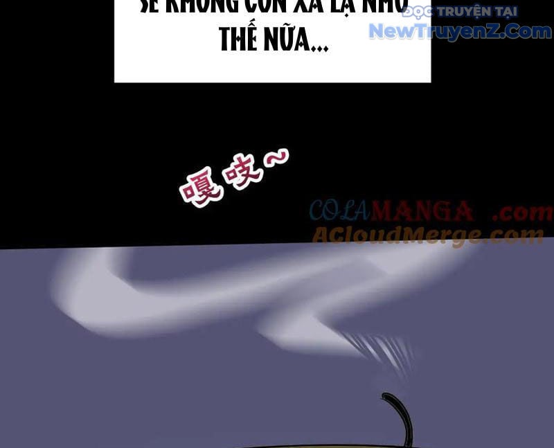 Chapter 31
