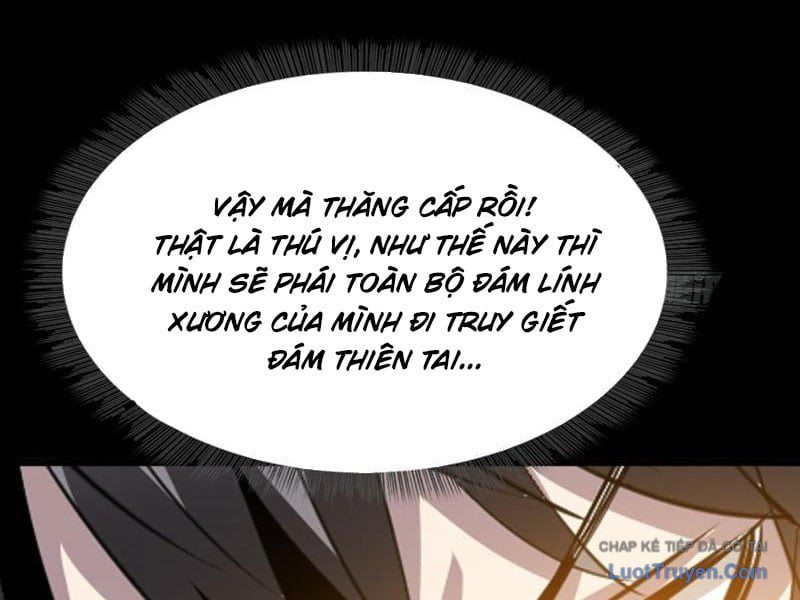 Chapter 33