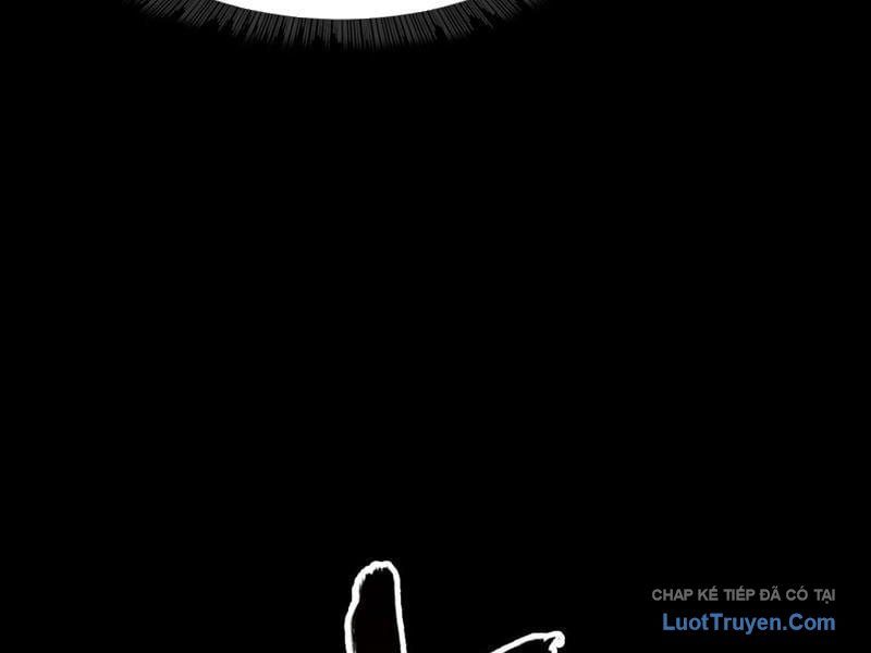 Chapter 33