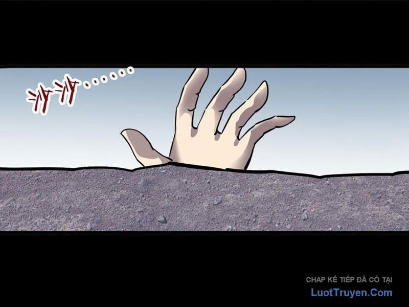 Chapter 33