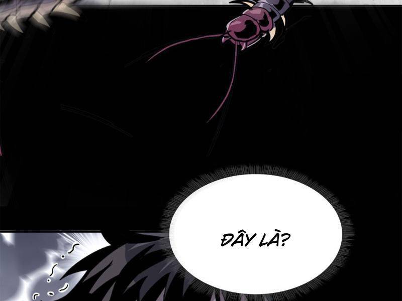 Chapter 7