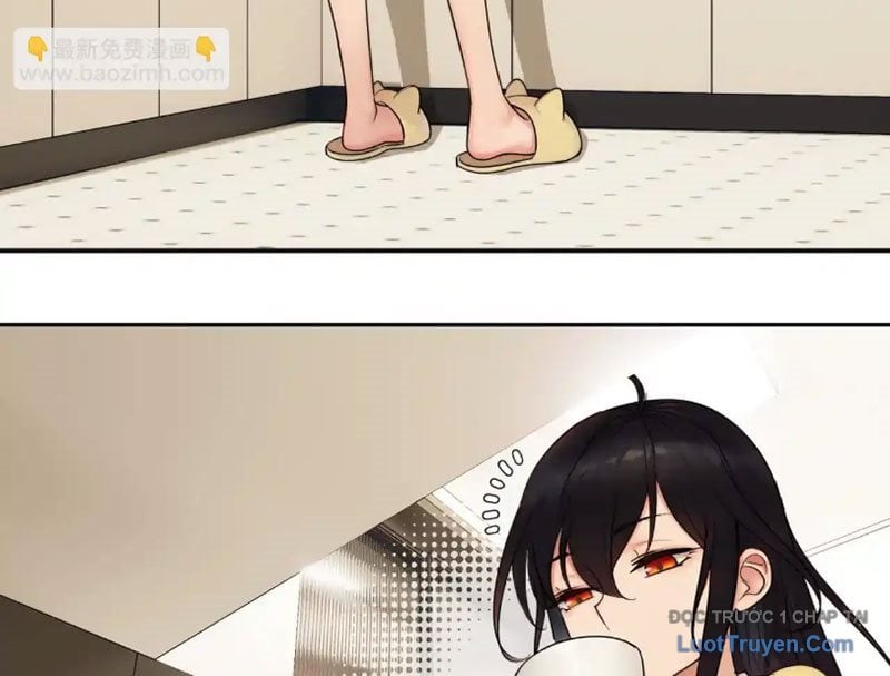 Chapter 13