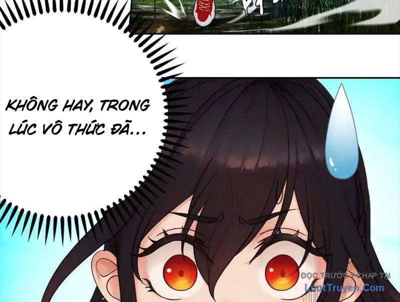 Chapter 13