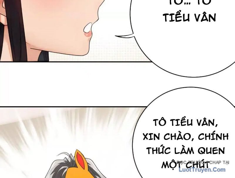 Chapter 13