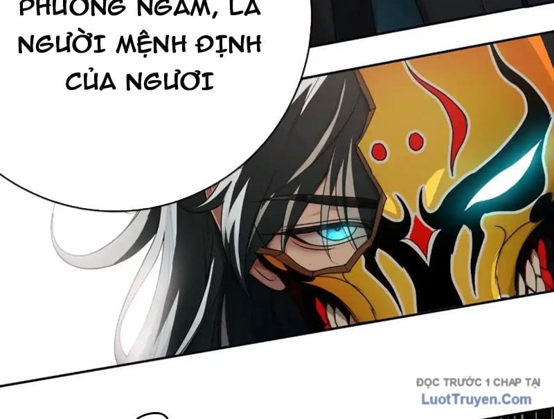 Chapter 13