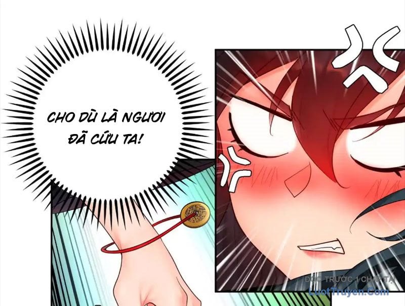 Chapter 13