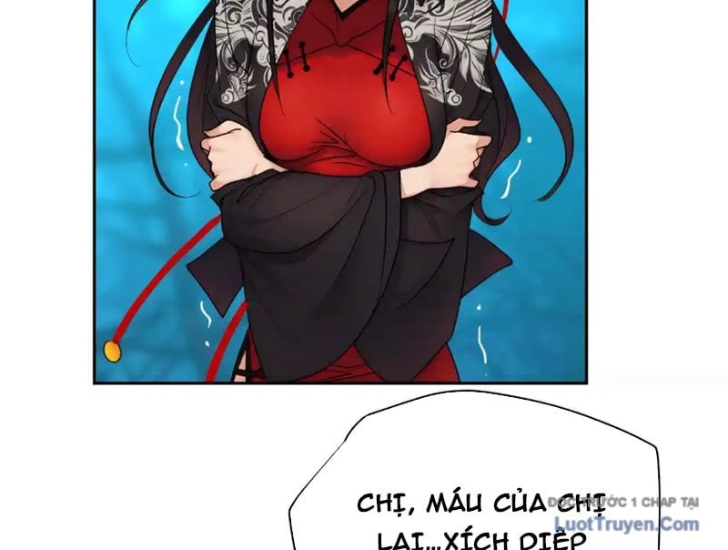 Chapter 13