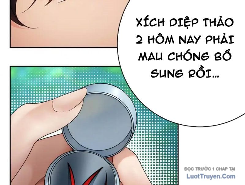 Chapter 13