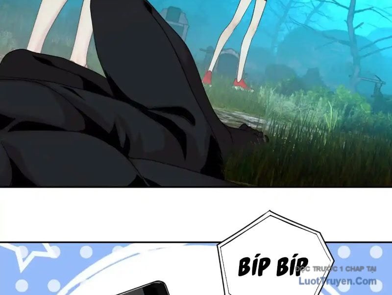 Chapter 13