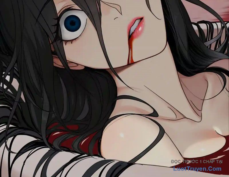 Chapter 15