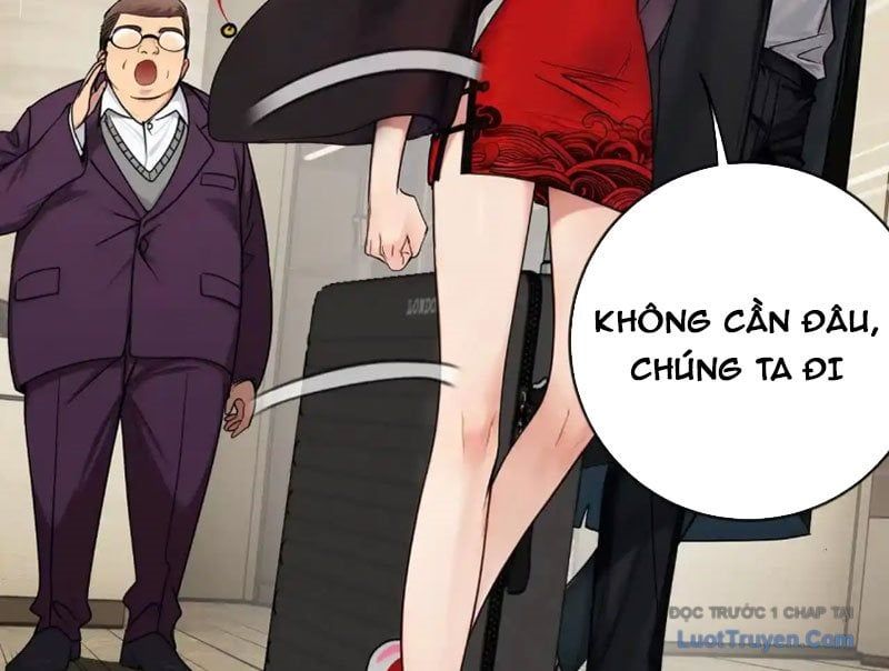 Chapter 15