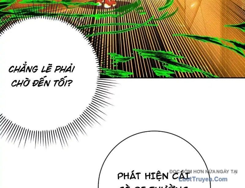 Chapter 17