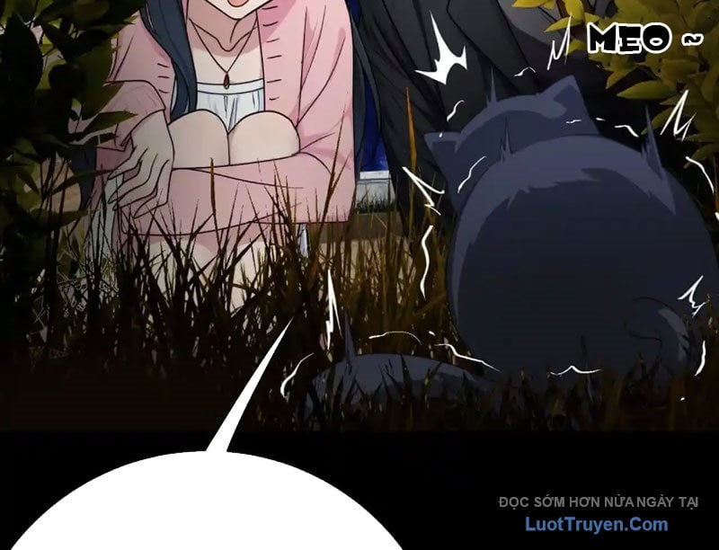 Chapter 18
