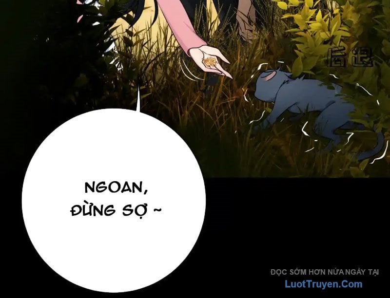 Chapter 18