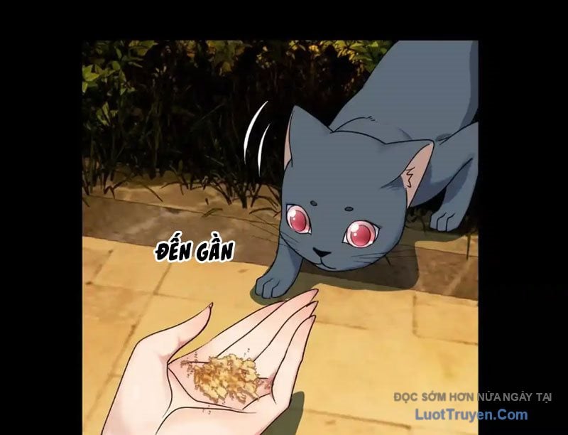 Chapter 18