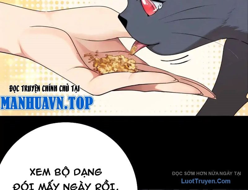Chapter 18