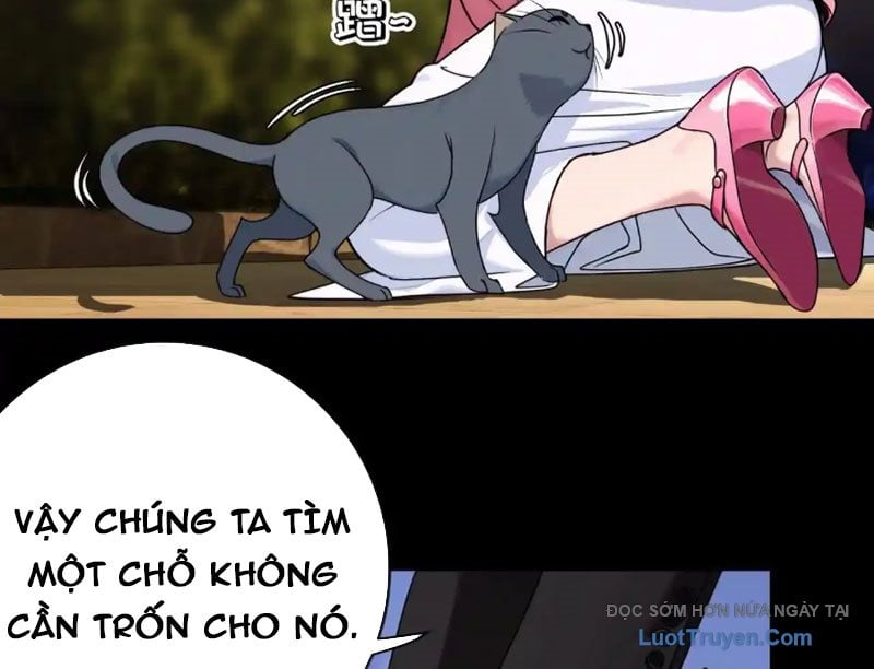 Chapter 18