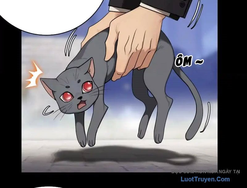 Chapter 18