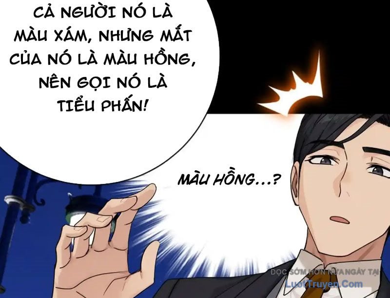 Chapter 18