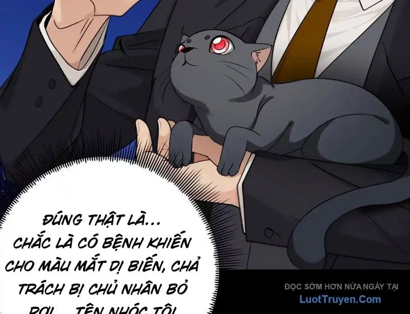 Chapter 18