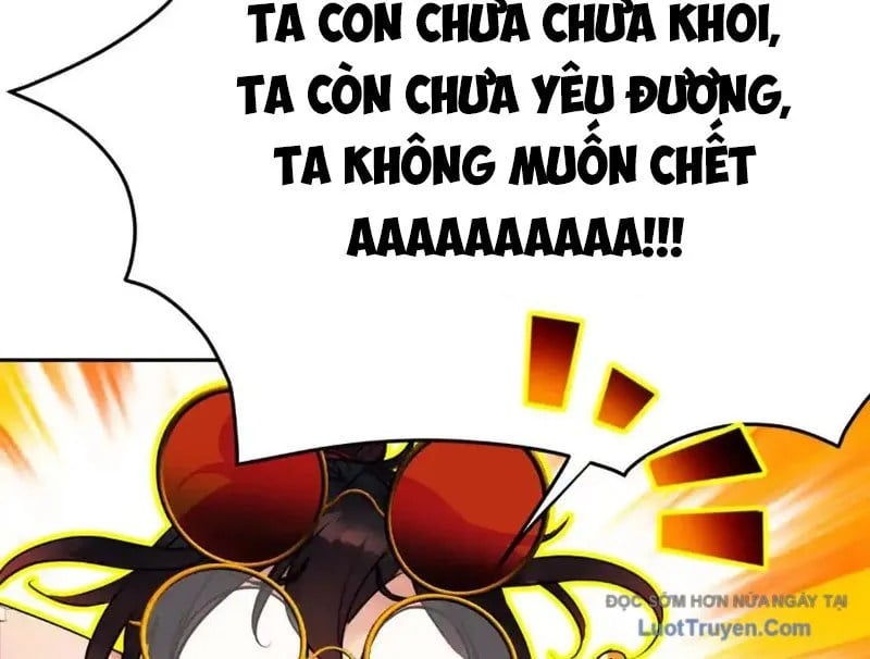 Chapter 19