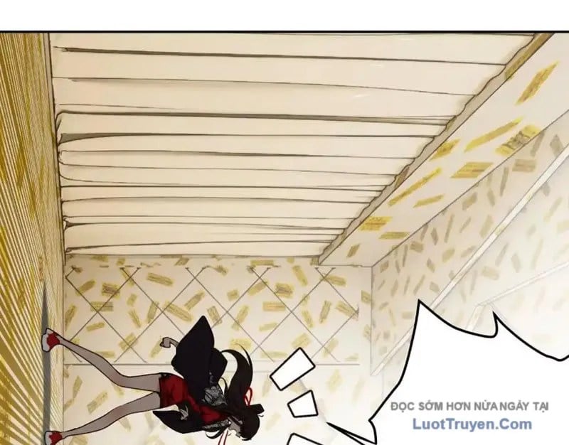 Chapter 19