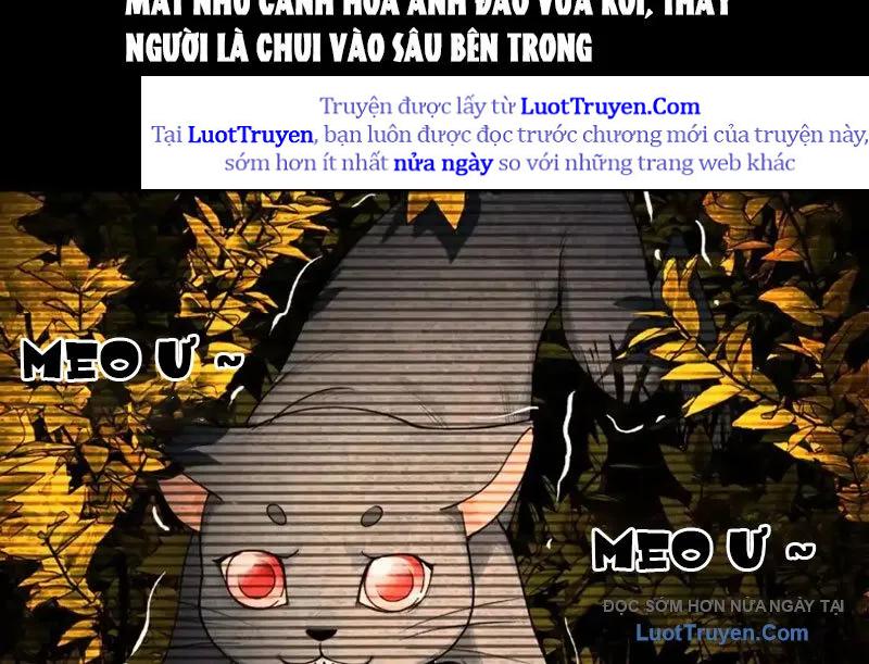 Chapter 19