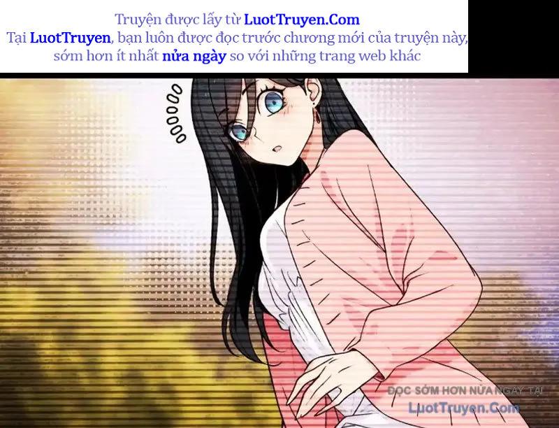 Chapter 19