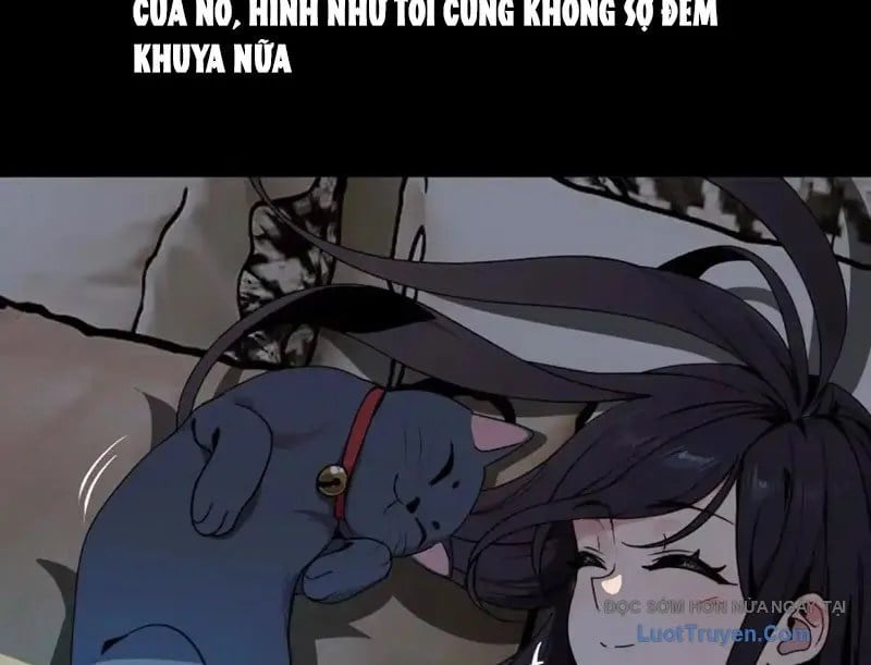 Chapter 19