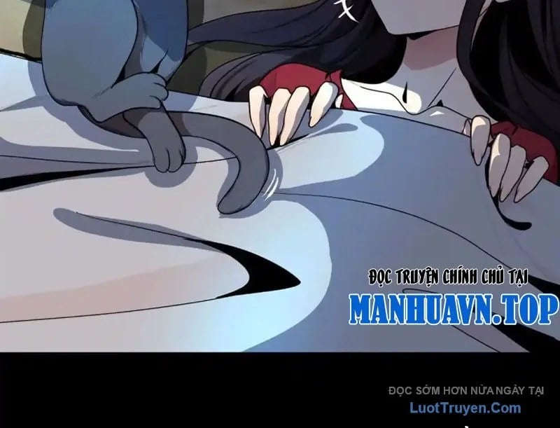 Chapter 19