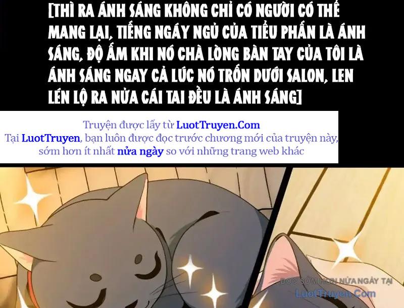 Chapter 19