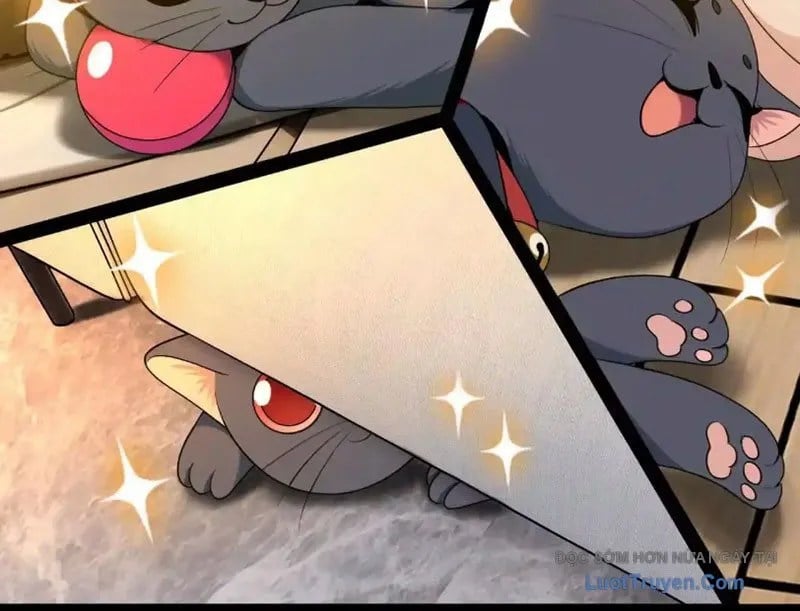 Chapter 19