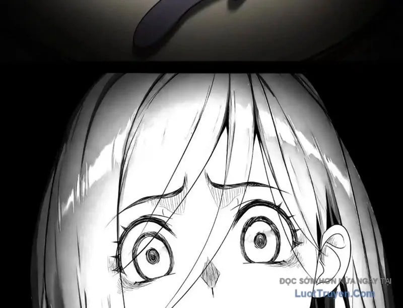 Chapter 19