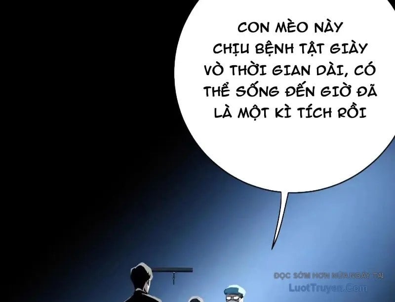 Chapter 19