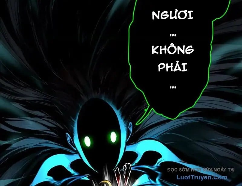 Chapter 19