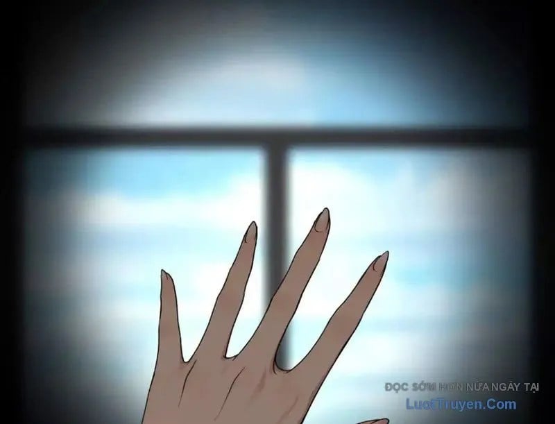 Chapter 19