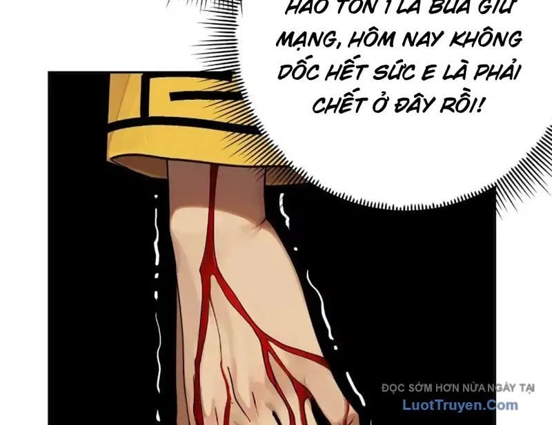 Chapter 19