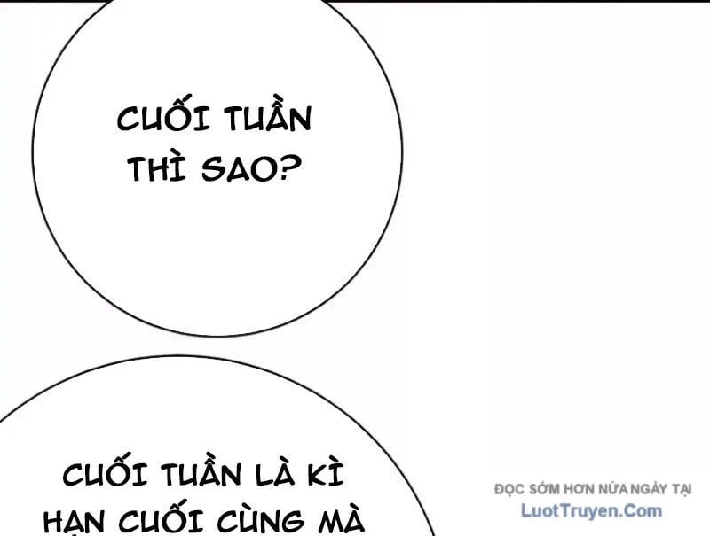Chapter 19
