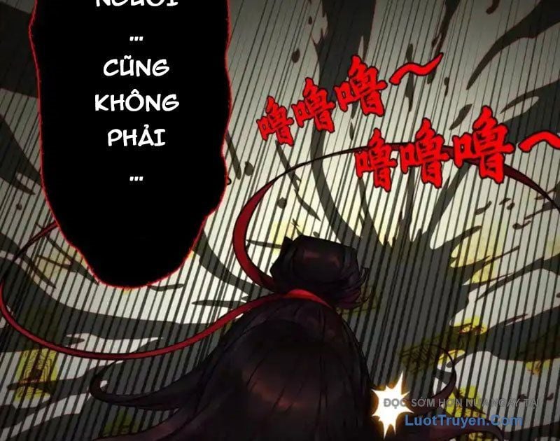 Chapter 20