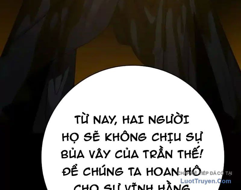 Chapter 23
