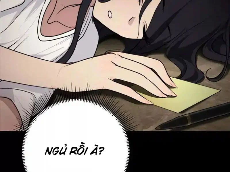 Chapter 23