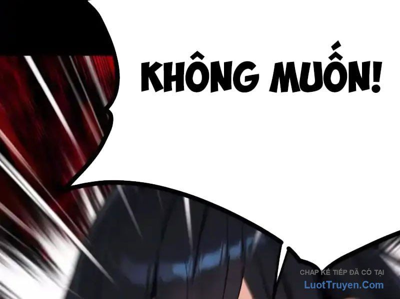 Chapter 23