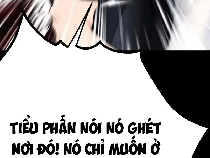 Chapter 23